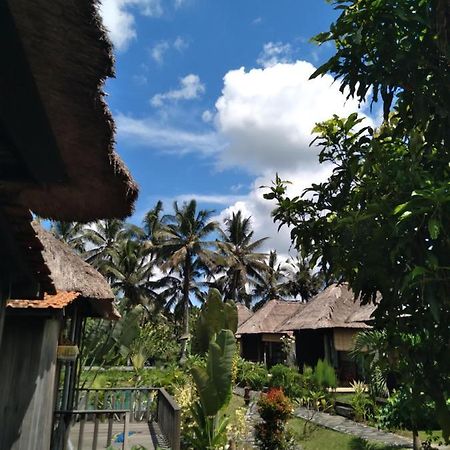 Taman Bintang Villa Ubud Exteriér fotografie