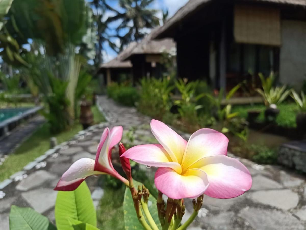 Taman Bintang Villa Ubud Exteriér fotografie