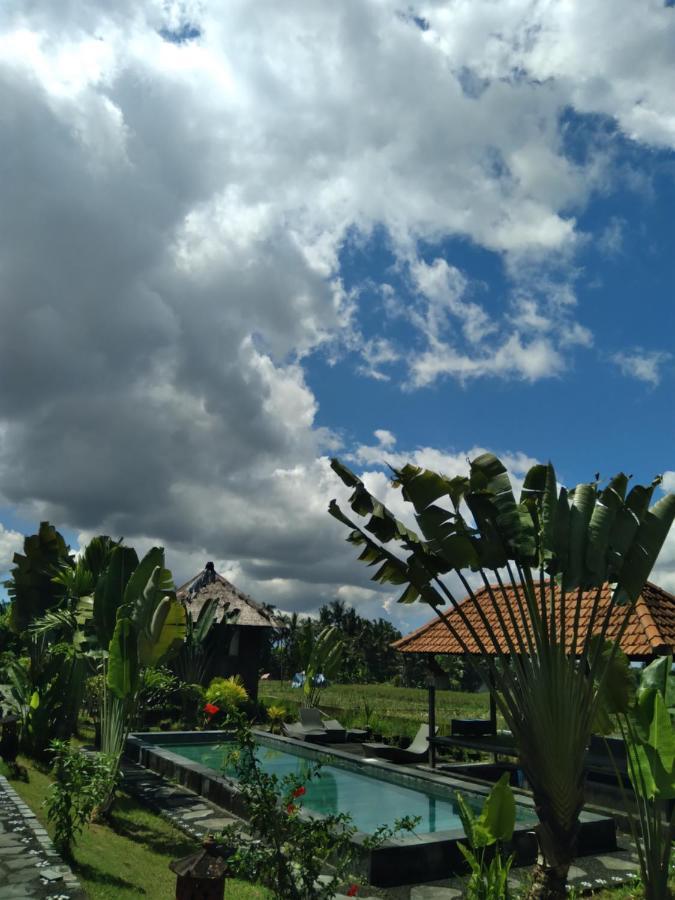 Taman Bintang Villa Ubud Exteriér fotografie