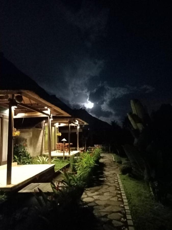 Taman Bintang Villa Ubud Exteriér fotografie