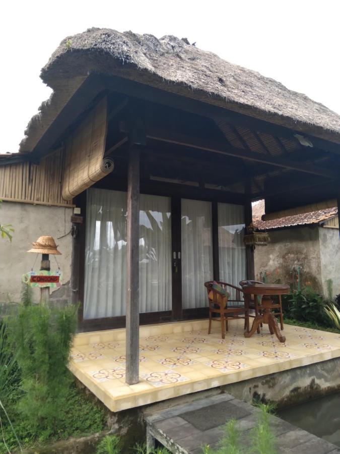 Taman Bintang Villa Ubud Exteriér fotografie