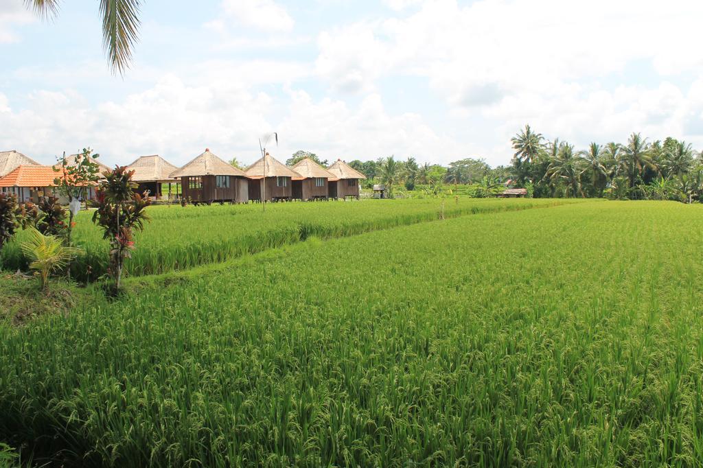 Taman Bintang Villa Ubud Exteriér fotografie